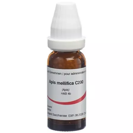 OMIDA APIS MELLIFICA GLOB