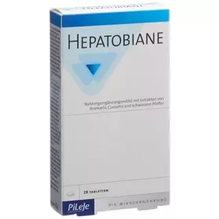 Гепатобіан таблетки 28 шт