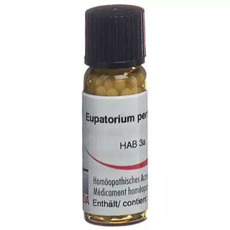 Оміда Eupatorium perfoliatum Glob C 30 2 г Оміда Eupatorium perfoliatum Glob C 30 2 г