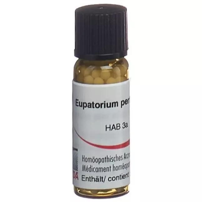 Оміда Eupatorium perfoliatum Glob C 30 2 г Оміда Eupatorium perfoliatum Glob C 30 2 г