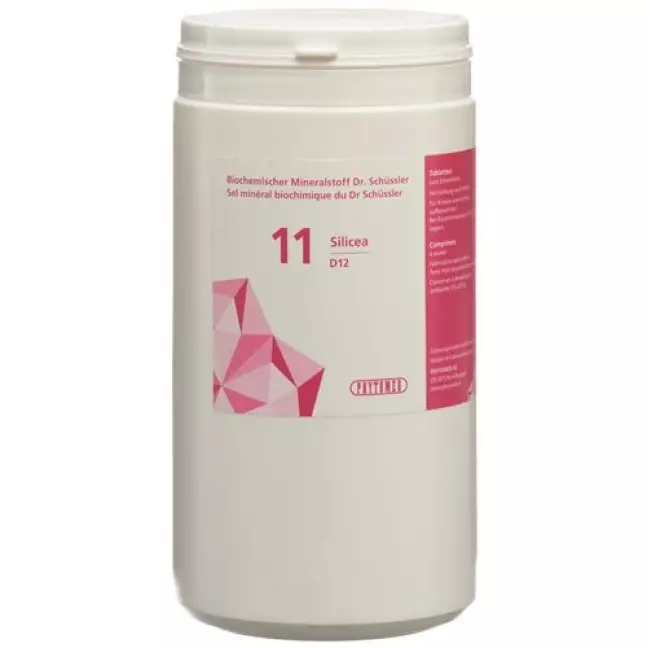 ФІТОМЕД ШЮССЛЕР Nr11 Silicea таблетки D 12 Ds 1 кг