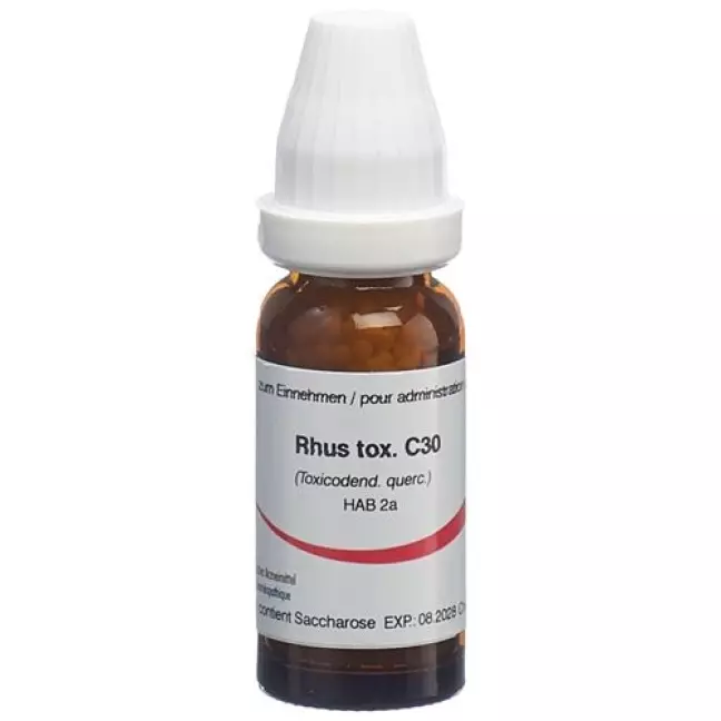 OMIDA RHUS TOXICODENDRON C30