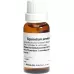 WELEDA Equisetum arvense Rh D 6 Dilaq 20 мл WELEDA Equisetum arvense Rh D 6 Dilaq 20 мл