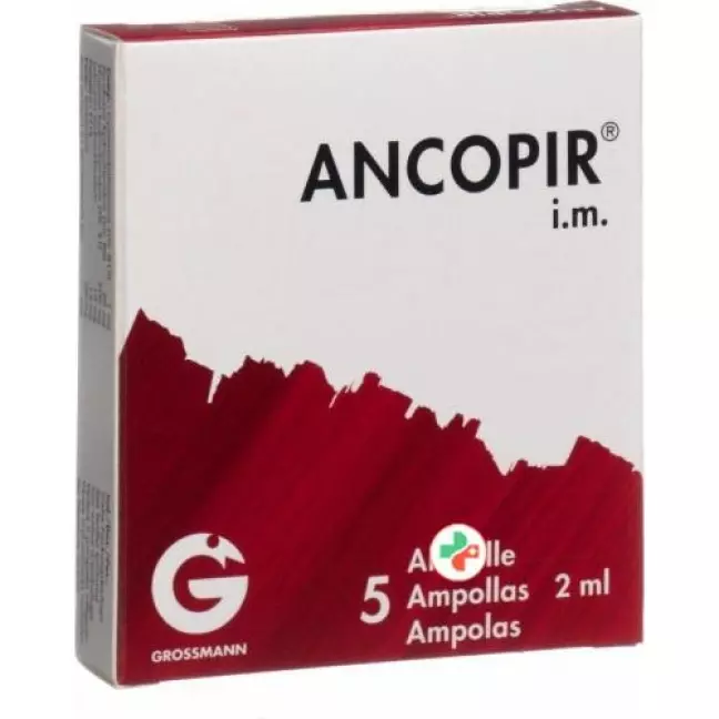 Ancopir 5 Ampullen 2 ml Ancopir 5 Ampullen 2 ml