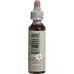 Bachbluten Cherry Plum Nr. 6 жидкость 20мл Bachbluten Cherry Plum Nr. 6 жидкость 20мл