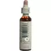 Bach Flowers Original Chestnut Bud No07 20 мл