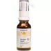 Burgerstein Coenzyme Q10 рідкий 20 мл