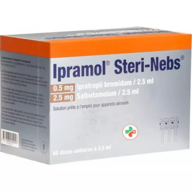 Ipramol Steri-Nebs Inhal Lös 60 Amp 2,5 мл Ipramol Steri-Nebs Inhal Lös 60 Amp 2,5 мл