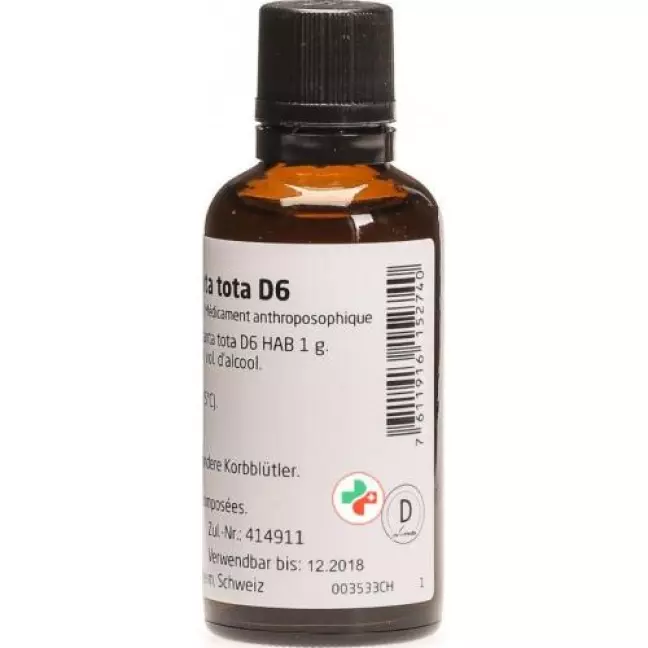 Weleda Arnica Planta tota Dil D 6 50 мл Weleda Arnica Planta tota Dil D 6 50 мл