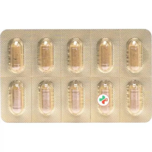 Morga Roter Ginseng в капсулах 100 штук
