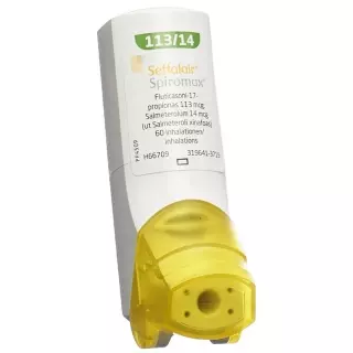 SEFFALAIR SPIROMAX Inh Plv 113/14 мкг