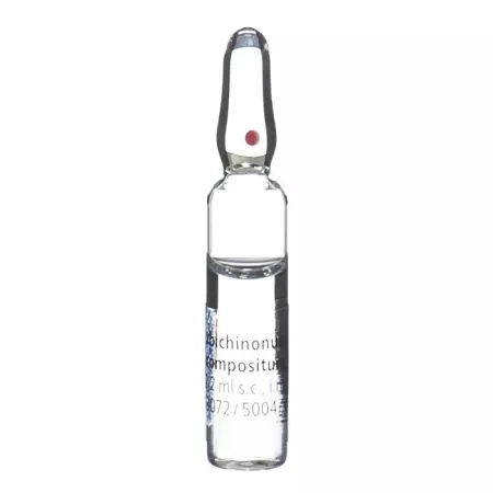 Ubiquinone compositum Heel Inj Lös 10 Amp 2,2 мл
