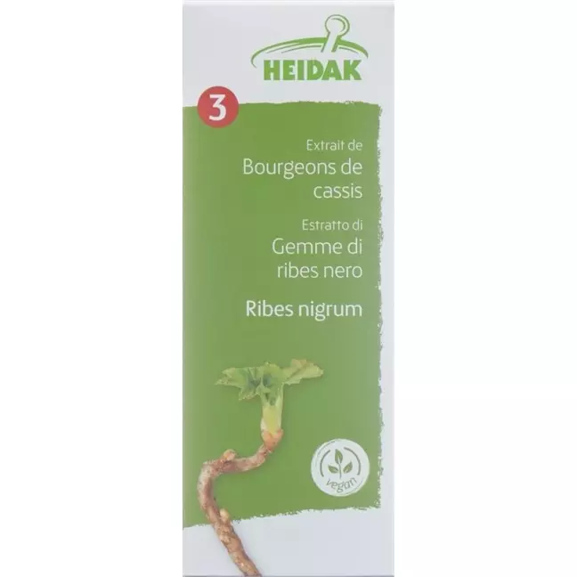 HEIDAK Knospe Johannisb Ribes nigr Glyc Maz