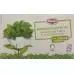 MORGA Brennesselblätter Tee m/H Bio Knospe MORGA Brennesselblätter Tee m/H Bio Knospe