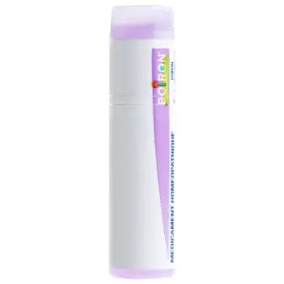 BOIRON muriaticum acidum Glob CH 30