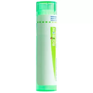 Буарон Lycopodium clavatum Gran C 5 4 г