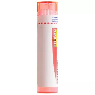 Буарон Asafoetida Gran CH 7 4г