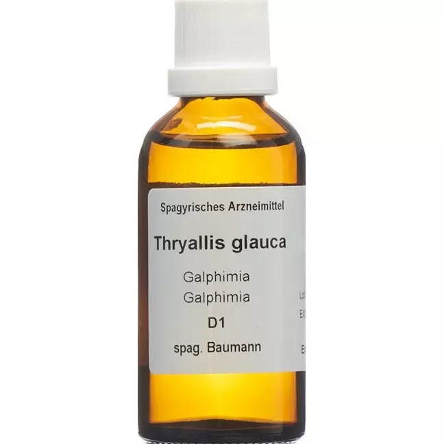 SPAGYROS SPAGYR Thryallis glauca SPAGYROS SPAGYR Thryallis glauca