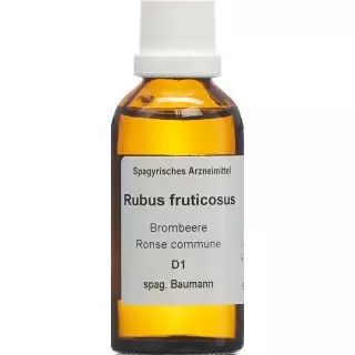 SPAGYROS SPAGYR Rubus fruticosus