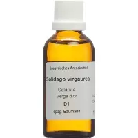 SPAGYROS SPAGYR Solidago virgaurea
