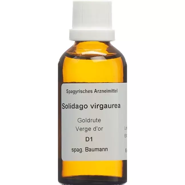 SPAGYROS SPAGYR Solidago virgaurea SPAGYROS SPAGYR Solidago virgaurea