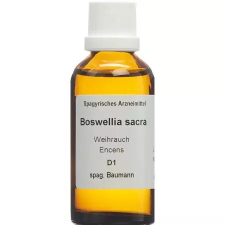 SPAGYROS SPAGYR Boswellia sacra SPAGYROS SPAGYR Boswellia sacra