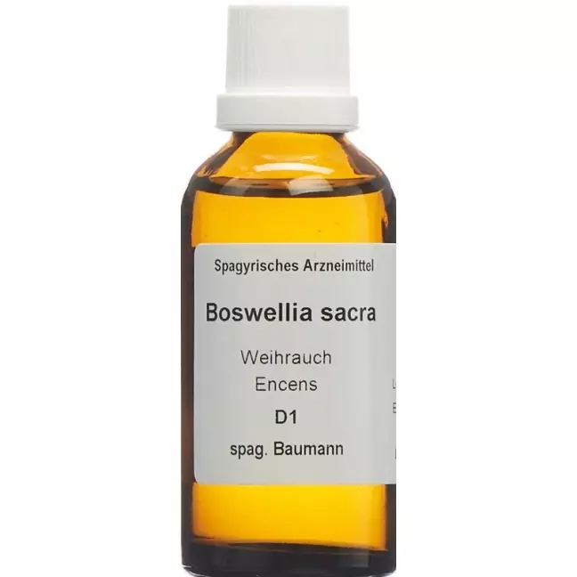 SPAGYROS SPAGYR Boswellia sacra SPAGYROS SPAGYR Boswellia sacra