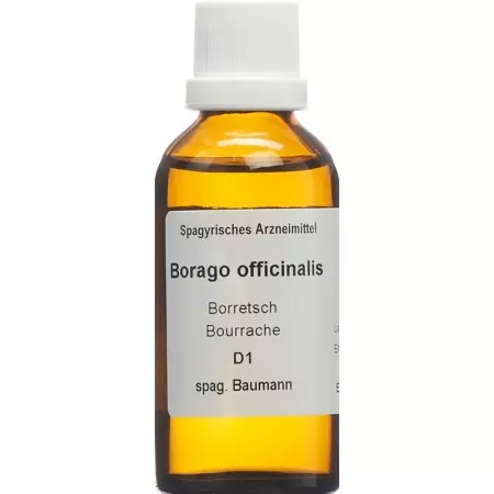 SPAGYROS SPAGYR Borago officinalis SPAGYROS SPAGYR Borago officinalis