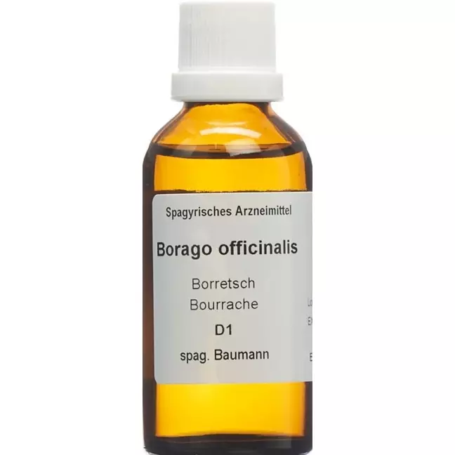 SPAGYROS SPAGYR Borago officinalis SPAGYROS SPAGYR Borago officinalis