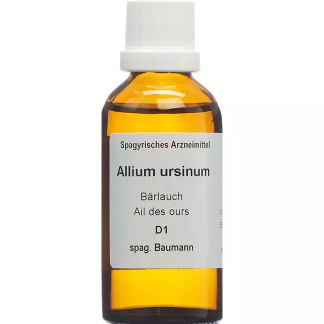 SPAGYROS SPAGYR Allium ursinum SPAGYROS SPAGYR Allium ursinum