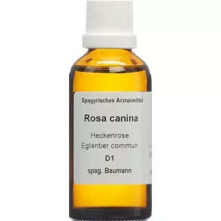 SPAGYROS SPAGYR Rosa canina