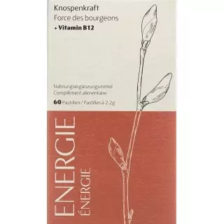 Heidak Bud Power Пастилки Energy Fl 60 шт.
