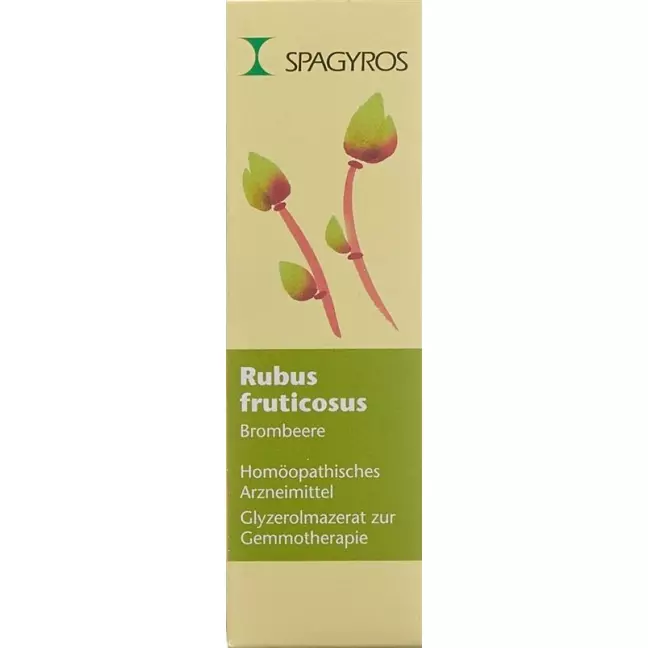 SPAGYROS GEMMO Rubus fruticos Glyc Maz D 1