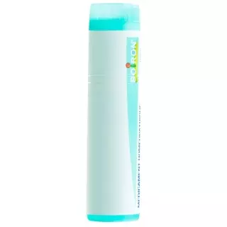Буарон Arnica montana Glob MK 1 Дос