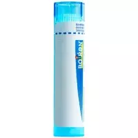 Boiron Carbo vegetabilis Gran C 9 4 г