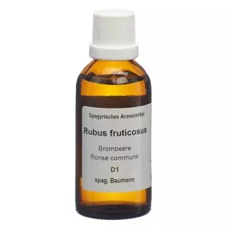 SPAGYROS SPAGYR Rubus fruticosus