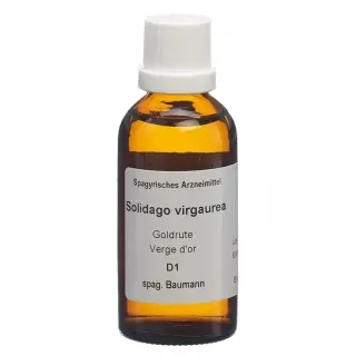 SPAGYROS SPAGYR Solidago virgaurea