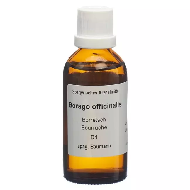 SPAGYROS SPAGYR Borago officinalis SPAGYROS SPAGYR Borago officinalis