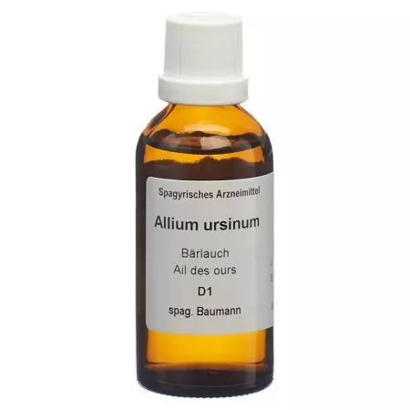 SPAGYROS SPAGYR Allium ursinum SPAGYROS SPAGYR Allium ursinum