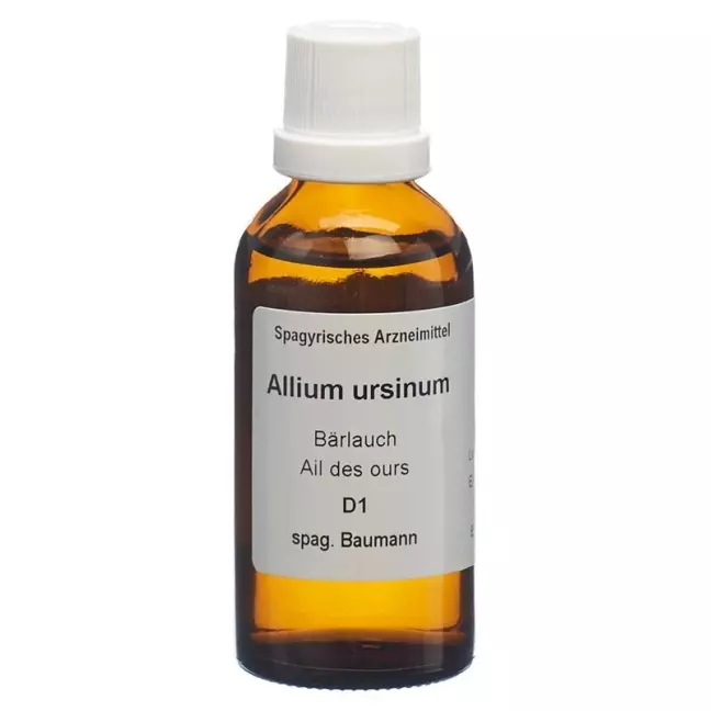 SPAGYROS SPAGYR Allium ursinum SPAGYROS SPAGYR Allium ursinum