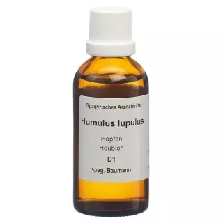 SPAGYROS SPAGYR Humulus lupulus