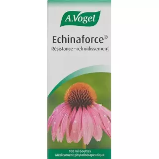 Vogel Echinaforce Resistance Cold Drops Fl 100 мл
