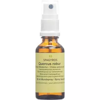 Spagyros Gemmo Quercus robur Glyc Maz D 1 30 мл