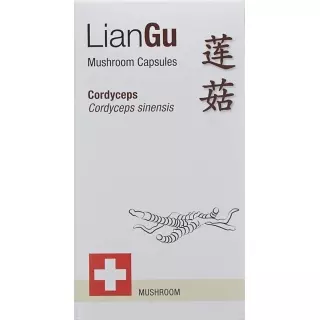 LianGu Cordyceps Mushrooms Capsules Ds 60 шт