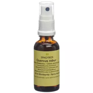 Spagyros Gemmo Quercus robur Glyc Maz D 1 30 мл