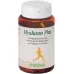 Chrisana Hyaluron Plus Kapseln Dose 90 Stück