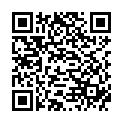 QR Sidroga Bio Schwangerschaftstee 20 штук