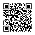 QR BASA PH INDIKATORSTAEBCHEN