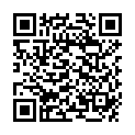 QR LAMPE BERGER PARF TEST POM VAN