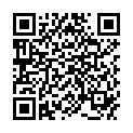 QR HOLLISTER Ileo 38mm 40cm Karaya tr 30 пакет